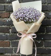 Букет цветов из:  Гипсофила #REPLACE_PRED# Аликоновке