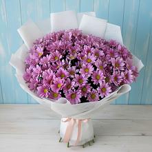Букет цветов из:  Хризантемы в Аликоновке
