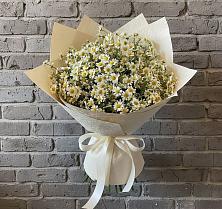 Букет цветов из:  Ромашки #REPLACE_PRED# Аликоновке
