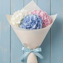 Букет цветов из:  Гортензия в Аликоновке