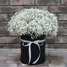 Цветочная композиция из Гипсофила в шляпной коробке в Аликоновке